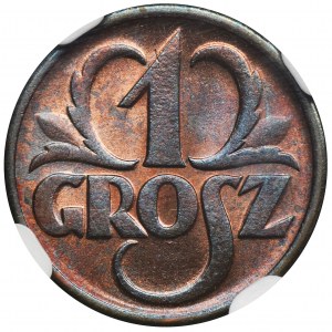 1 grosz 1937 - NGC MS65 RB