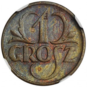 1 grosz 1927 - NGC MS64 BN