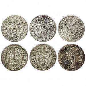 Set, Sigismund III Vasa and Riga, 3 Polker (6 pcs.)