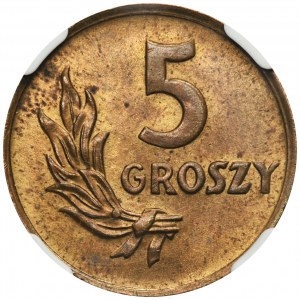 5 groszy 1949 - NGC MS63 RB