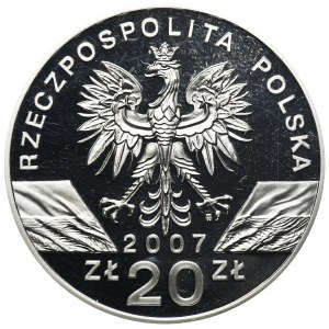 20 złotych 2007 Foka Szara - GCN PR70