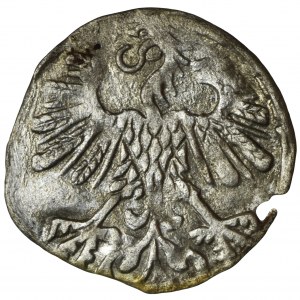 Sigismund II August, Denarius Vilnius 1559