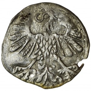 Zygmunt II August, Denar Wilno 1559