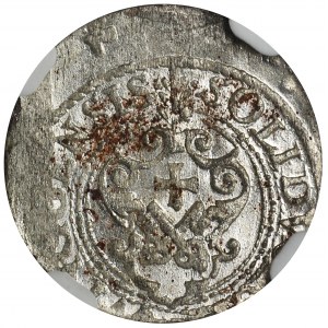 Sigismund III Vasa, Schilling Riga 1621 - NGC UNC DETAILS