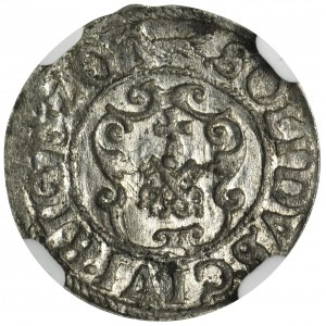 Zygmunt III Waza, Szeląg Ryga 1620 - NGC MS61