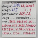 Poniatowski, Trojak Warszawa 1786 EB - RZADKI