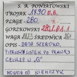 Poniatowski, Trojak Warszawa 1790 EB
