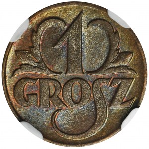 1 grosz 1923 - NGC MS65 BN