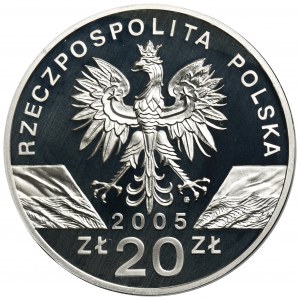 20 złotych 2005 Puchacz