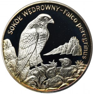 20 złotych 2008 Sokół