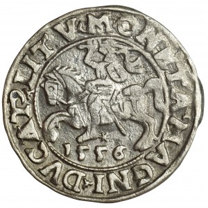Zygmunt II August, Półgrosz Wilno 1556 - LI/LITV
