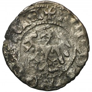 Ladislaus II Jagiello, Half groat Krakau