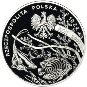 10 złotych 2001 Michał Siedlecki