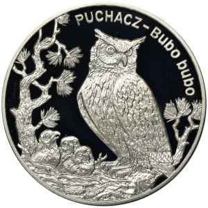 20 złotych 2005 Puchacz