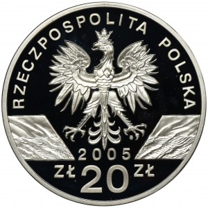 20 złotych 2005 Puchacz