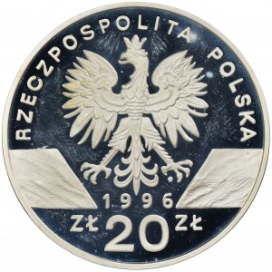 20 złotych 1996 Jeż