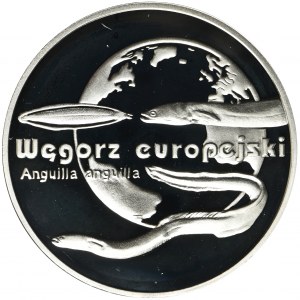 20 złotych 2003 Węgorz europejski