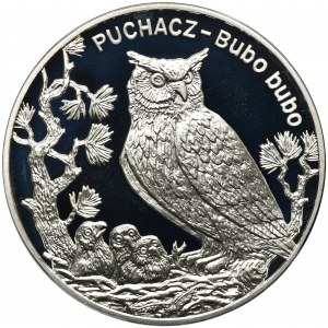 20 złotych 2005 Puchacz