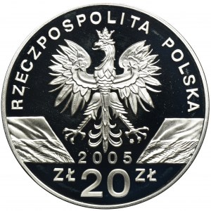 20 złotych 2005 Puchacz