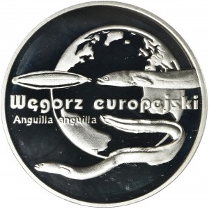 20 złotych 2003 Węgorz europejski