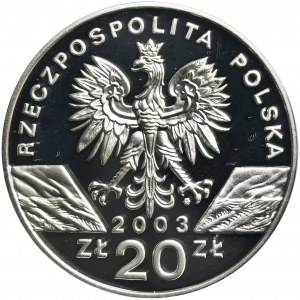 20 złotych 2003 Węgorz europejski