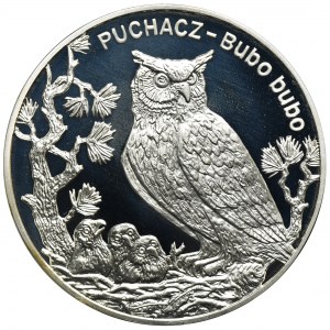 20 złotych 2005 Puchacz