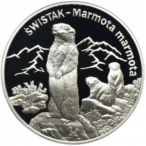 20 złotych 2006 Świstak