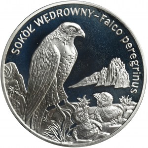 20 złotych 2008 Sokół