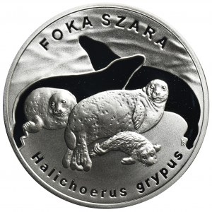 20 złotych 2007 Foka Szara