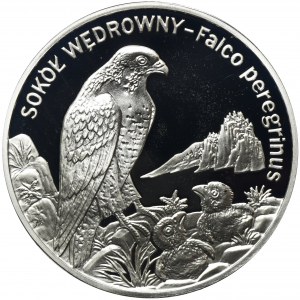 20 złotych 2008 Sokół