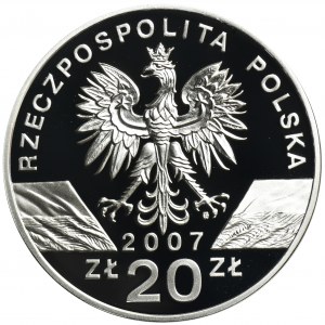 20 złotych 2007 Foka Szara