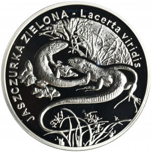 20 złotych 2009 Jaszczurka Zielona