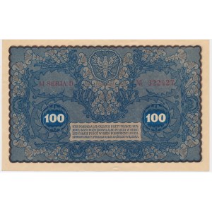 100 marek 1919 - IJ Serja D -