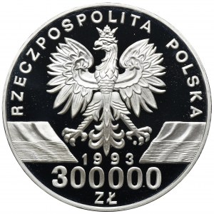 300.000 złotych 1993 Jaskółki