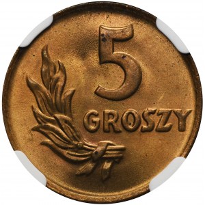 5 groszy 1949 - NGC MS65 RD