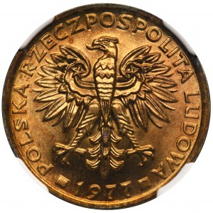 2 złote 1977 - NGC MS67