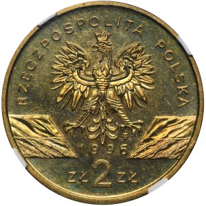 2 złote 1996 Jeż - NGC MS66