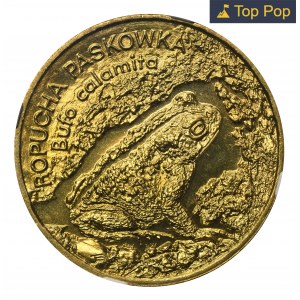 2 złote 1998 Ropucha Paskówka - NGC MS68