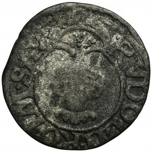 Niemcy, Miasto Kolonia, Albus (8 Halerzy) 1587