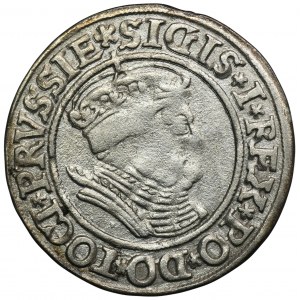 Sigismund I the Old, Groschen Thorn 1535