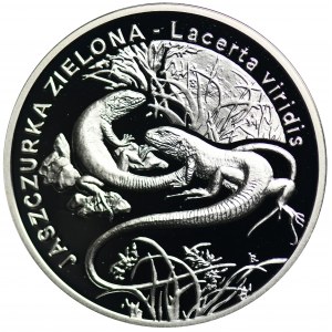 20 złotych 2009 Jaszczurka Zielona