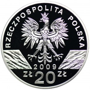 20 złotych 2009 Jaszczurka Zielona