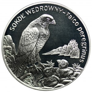 20 złotych 2008 Sokół