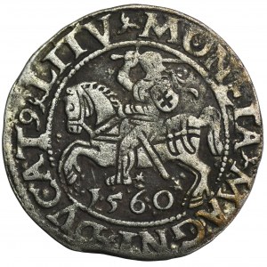 Sigismund II. Augustus, Halbpfennig Wilna 1560