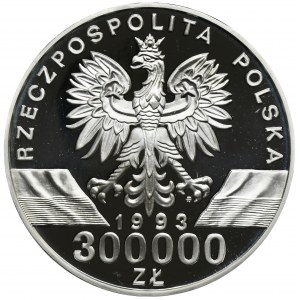 300.000 złotych 1993 Jaskółki