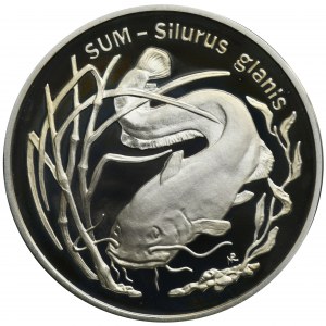 20 złotych 1995 Sum