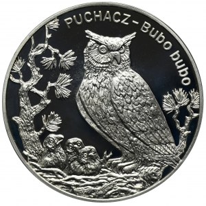 20 złotych 2005 Puchacz