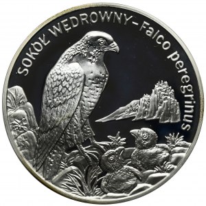 20 złotych 2008 Sokół