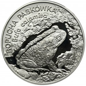 20 złotych 1998 Ropucha Paskówka