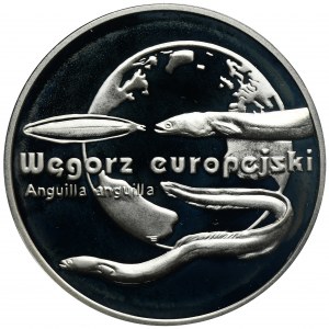 20 złotych 2003 Węgorz europejski